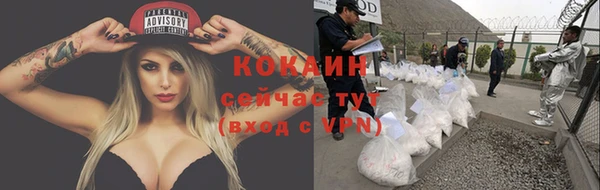 PSILOCYBIN Гусев