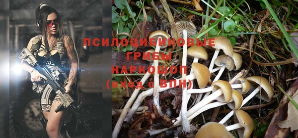 Альфа ПВП Гусь-Хрустальный