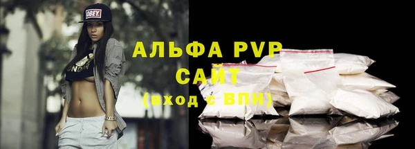 PSILOCYBIN Гусев