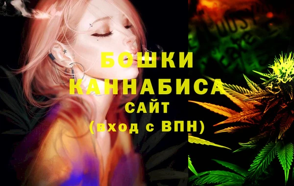 PSILOCYBIN Гусев