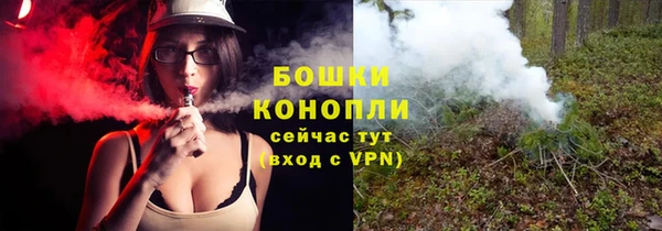 PSILOCYBIN Гусев