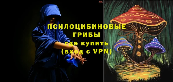 PSILOCYBIN Гусев
